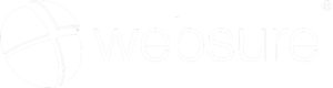 Transparent White logo for the Websure platform